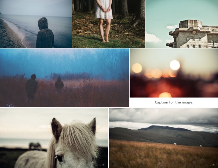 Shortcode gallery