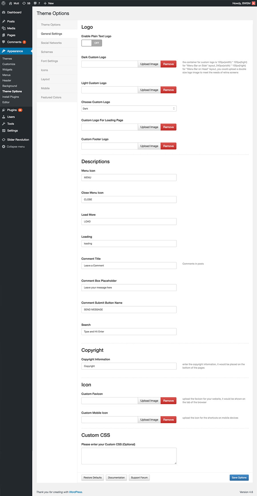 Theme Option - General settings