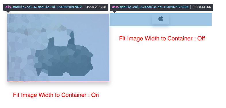 Single Image Fit Image Width