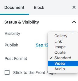 Post Formats