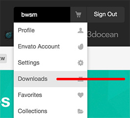 Themeforest