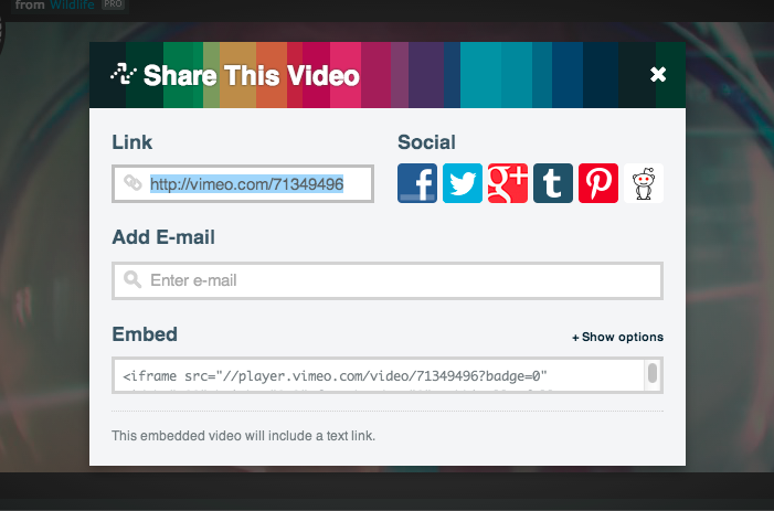 Videmo URL