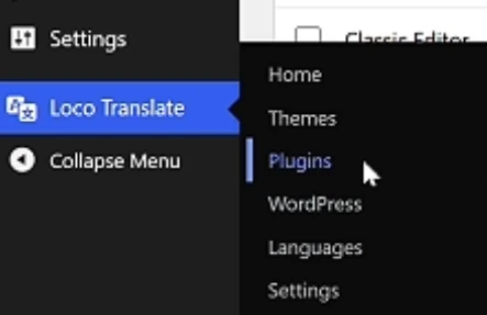 Open the Plugins screen in Loco Translate